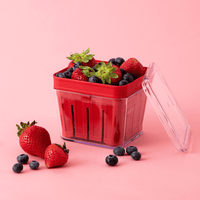 chef-n-bramble-berry-basket-cestello-colandra-per-frutti-di-bosco image 2