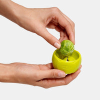 chef-n-twist-n-sprout-tool-per-togliere-il-torsolo-ai-cavoletti-di-bruxelles image 2